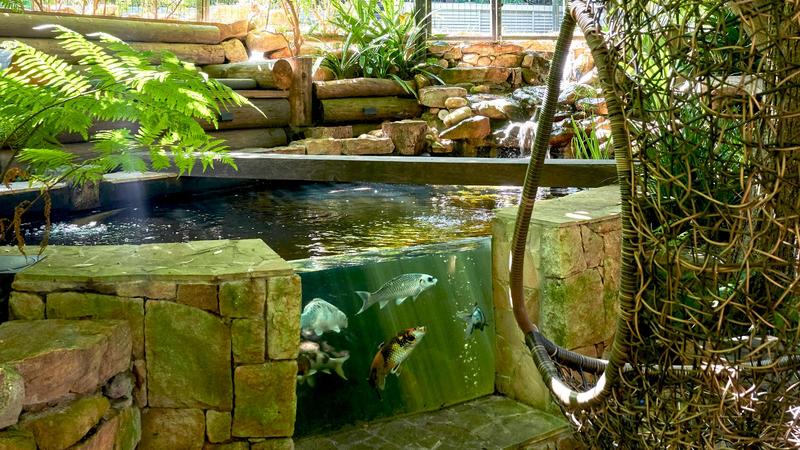 4 Bedroom Property for Sale in Hout Bay Western Cape